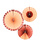 Honeycomb Waaiers |  Peach/Rosé | Elegant Lush Blush