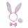 Playboy Bunny Set Roze | Oortjes + Diadeem