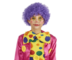 Pruik Krullen Paars | Clown