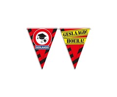 Vlaggenlijn Hoera Geslaagd |10 Meter