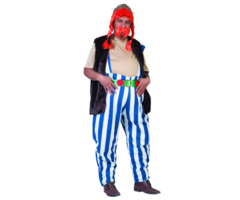 Obelix Kostuum | Stripfiguur