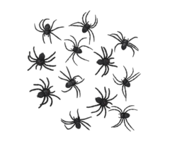 Spinnetjes Voor Spinnenweb | 10 Stuks