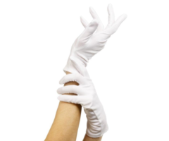 Handschoenen Wit| Kort