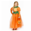 Pompoenheks Kinderkostuum | Halloween