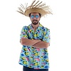 Hawaiihemd Visjes | Kostuum