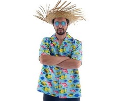 Hawaiihemd Visjes | Kostuum