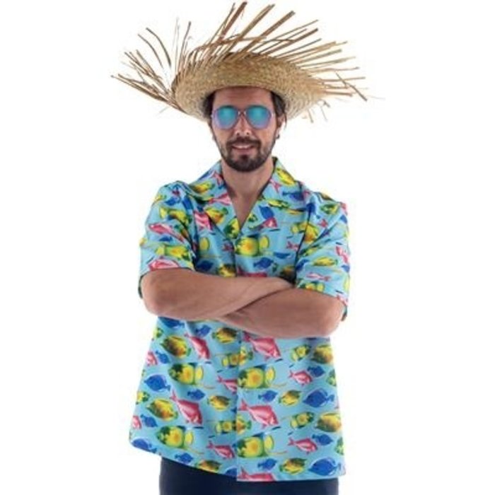 Hawaiihemd Visjes | Kostuum