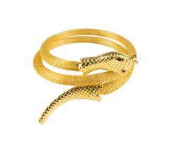 Armband/ Halsketting Slang | Goud