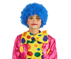 Pruik Krullen Blauw |  Clown