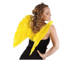 Engelen Vleugels 50cm | One Size | Geel