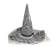 Heksenhoed Zwart | Met Spinnenweb