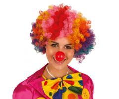 Pruik Clown Multicolor | Krullen