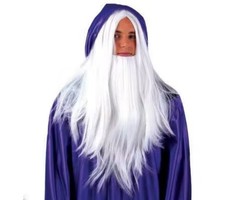 Pruik Magicain / Tovenaar