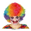 Pruik Curly  Multicolor Clown