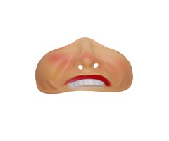 Masker Funny Mond + Neus