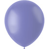 Ballonnen 50 Stuks 33cm / Cornflower Blue Mat