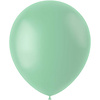Ballonnen 50 Stuks 33cm / Powder Pistache