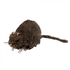 Griezelige Rat Haloween / 15cm x 8cm