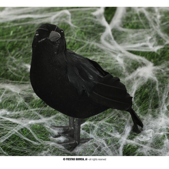Zwarte Kraai 25cm