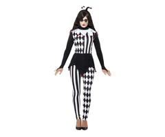 Female Jester / Dameskostuum