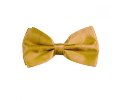 Strik Verstelbaar / Goud