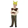 Mini Shrek Peuterkostuum