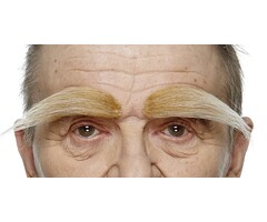 Wenkbrouwen Blond/bruin