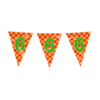 Vlaggenlijn Happy Party Flags 10m / 6 Jaar