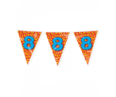 Vlaggenlijn Happy Party Flags 10m / 8 Jaar