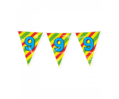 Vlaggenlijn Happy Party Flags 10m / 9 Jaar