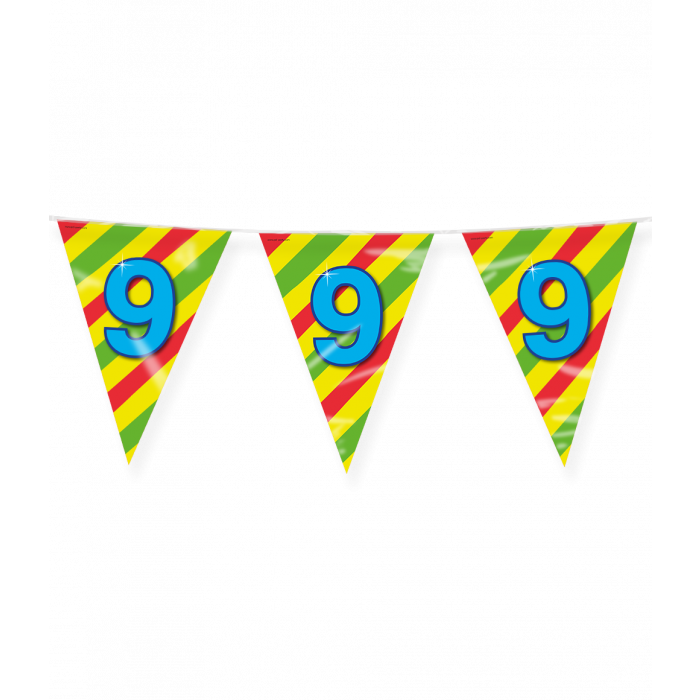 Vlaggenlijn Happy Party Flags 10m / 9 Jaar