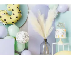 Pampasgras Light Cream 45cm / Per stuk