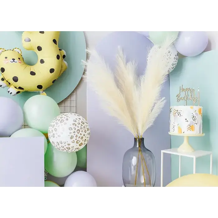 Pampasgras Light Cream 45cm / Per stuk