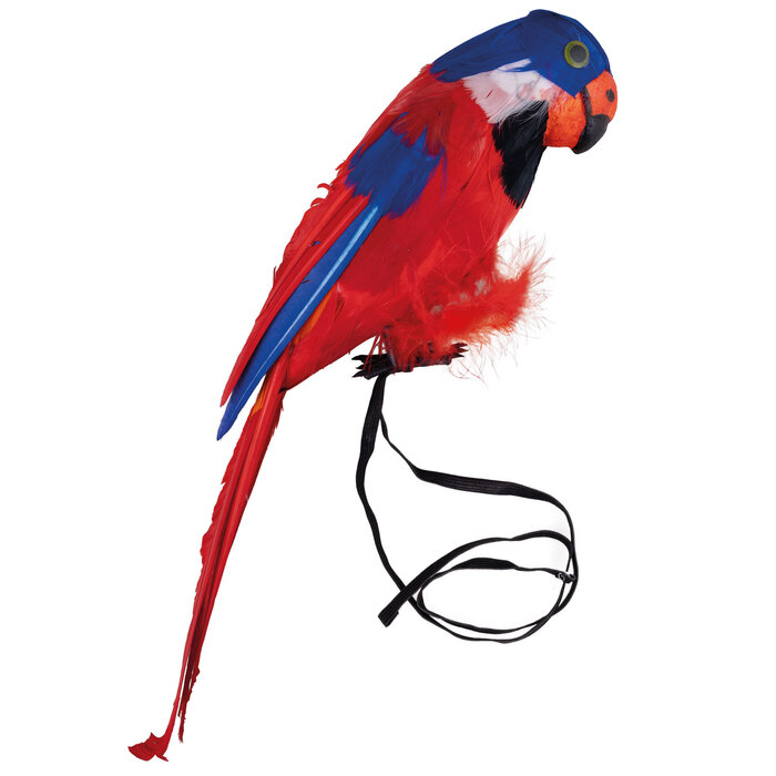 Papegaai 40cm Voor schouder