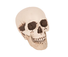 Skull Doodshoofd 21cm
