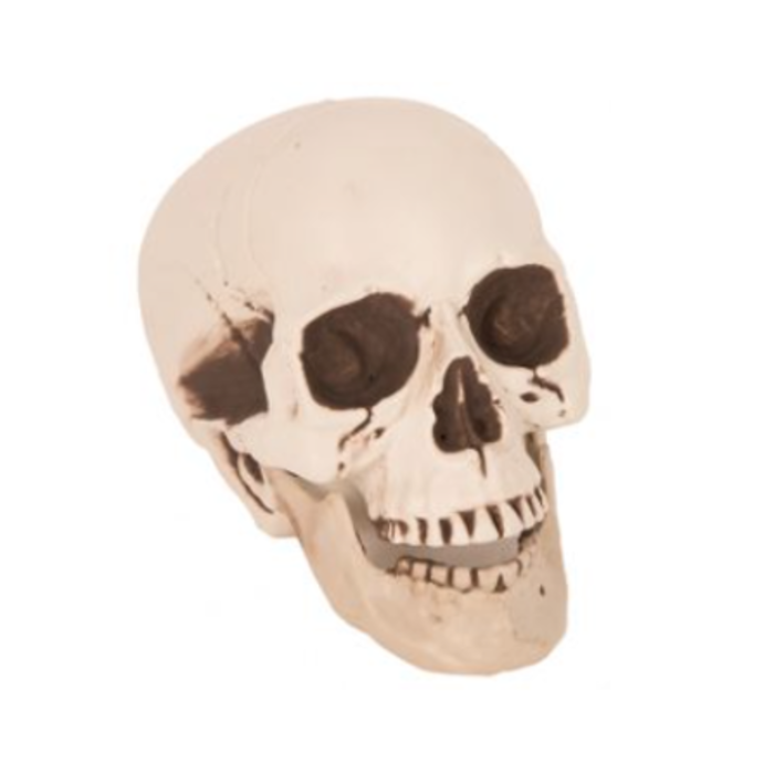 Skull Doodshoofd 21cm