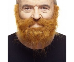 Baard & Snor / Ginger