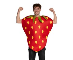 Aardbei Kostuum / One Size