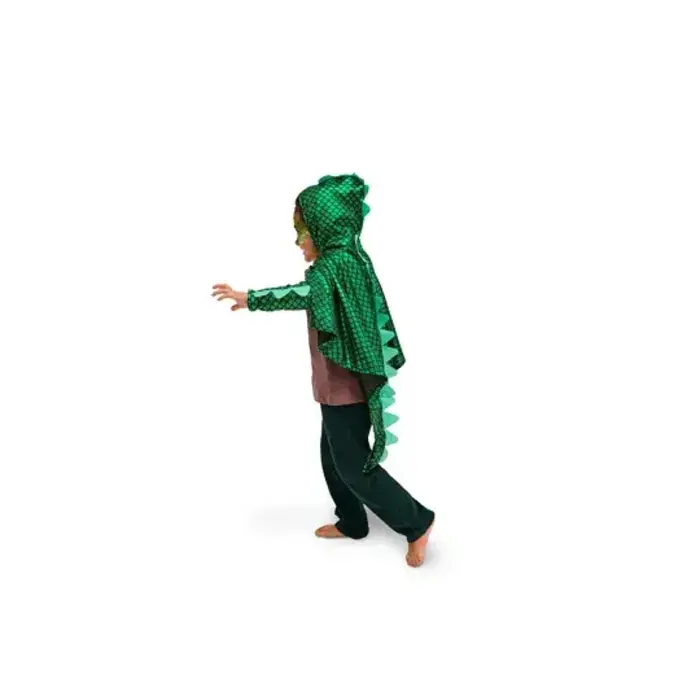 Drakenkostuum / One size