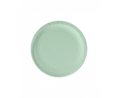 Bordjes Papier 8st. / Pastel Groen