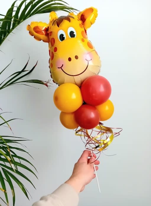 Ballonfiguurtje op stokje