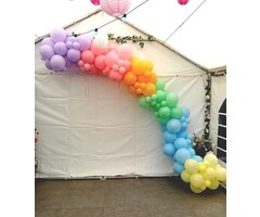 Organische Ballondecoratie / Per meter