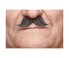 Krulsnor / Grijs & Wit