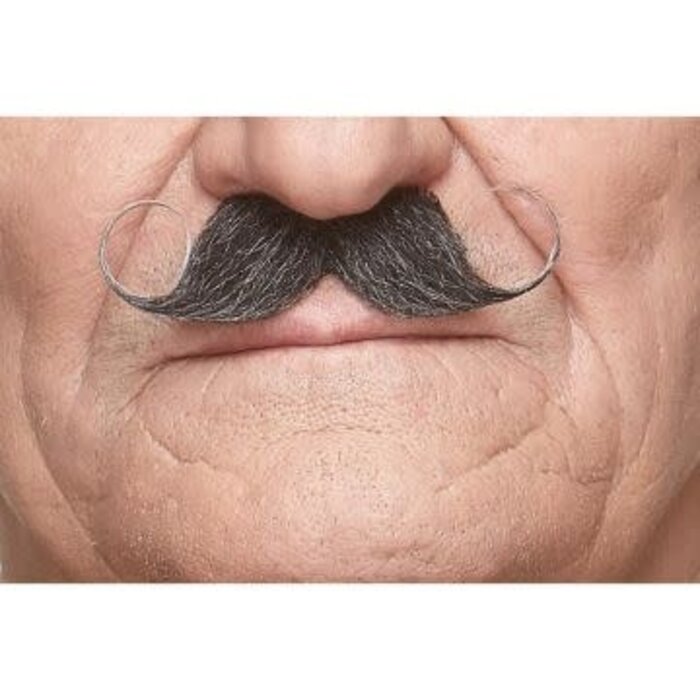 Krulsnor / Grijs & Wit