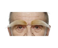 Borstelige Wenkbrauwen / Blond
