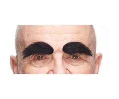 Borstelige Wenkbrauwen / Zwart