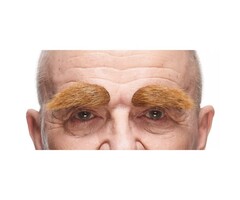 Borstelige Wenkbrauwen / Bruin