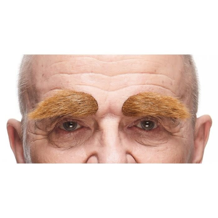 Borstelige Wenkbrauwen / Bruin