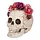 Schedel Rosa / Decoratieskull