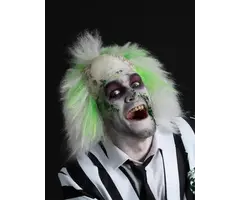 Pruik Beetlejuice / Volwassenen